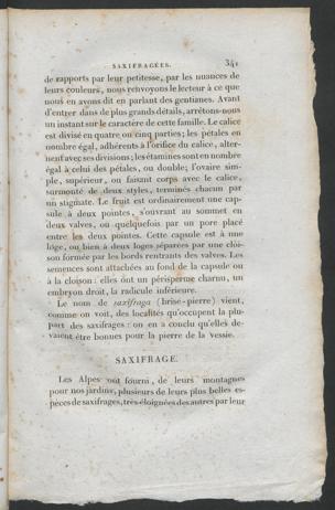 Seite 