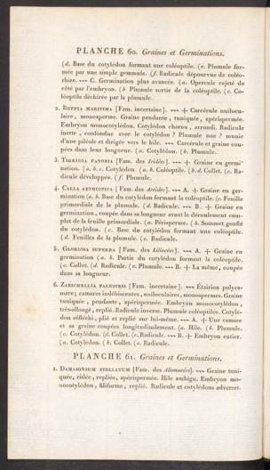 Seite 