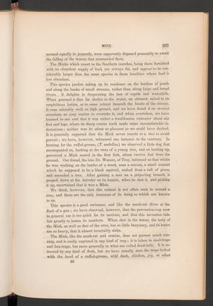 Seite 