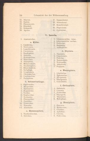 Seite 