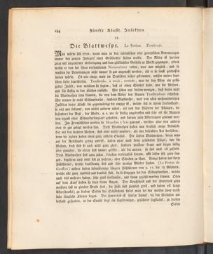 Seite 