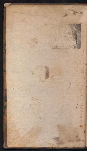 Pagina 