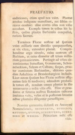 Pagina 