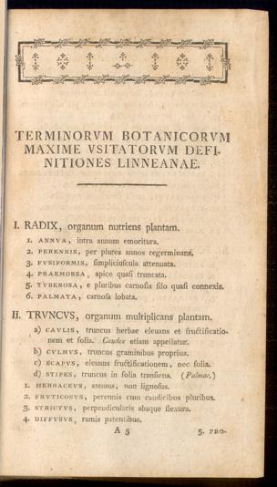 Pagina 