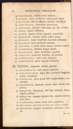Pagina 