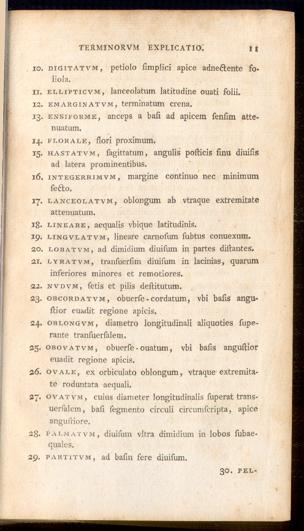 Pagina 