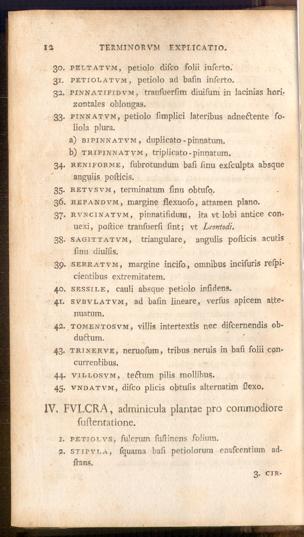 Pagina 