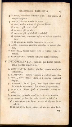 Pagina 