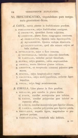 Pagina 