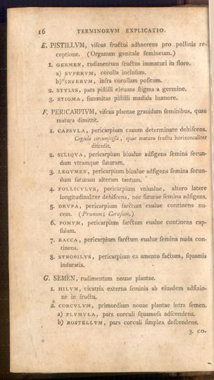 Pagina 