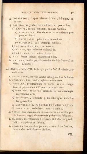 Pagina 