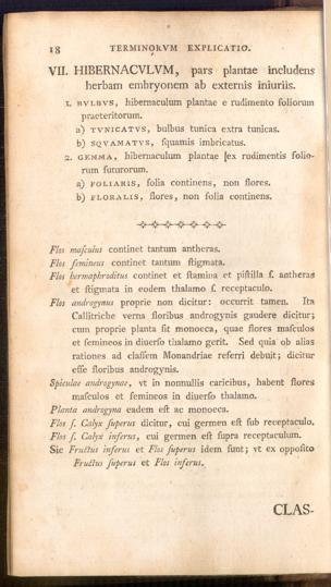 Pagina 
