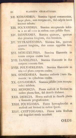 Pagina 