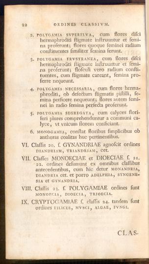 Pagina 