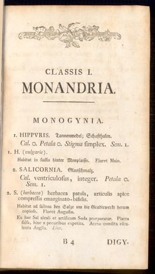 Pagina 