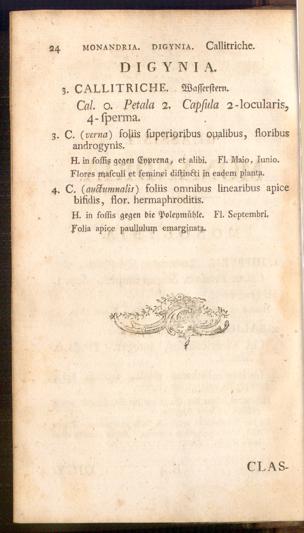 Pagina 