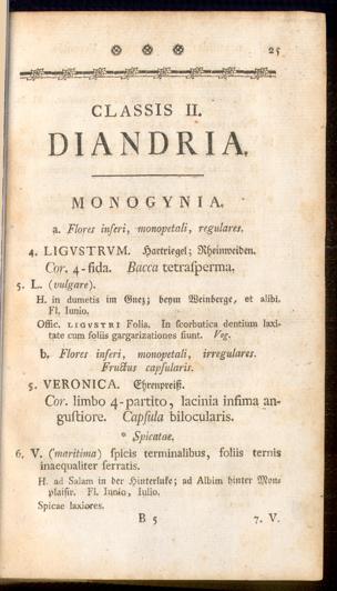 Pagina 