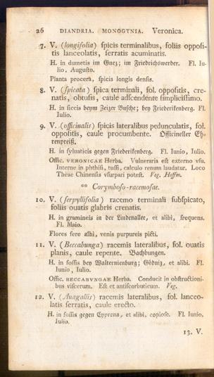 Pagina 