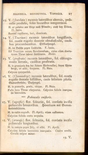 Pagina 