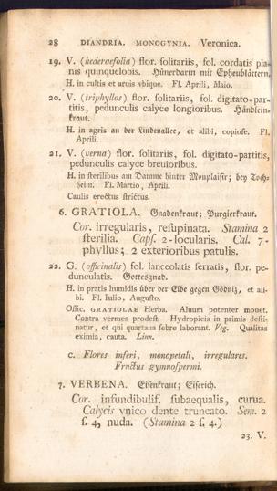 Pagina 
