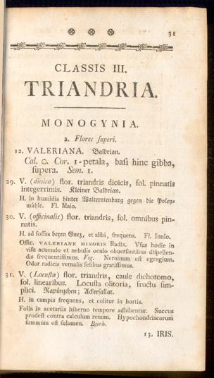 Pagina 