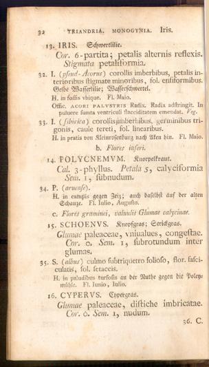 Pagina 