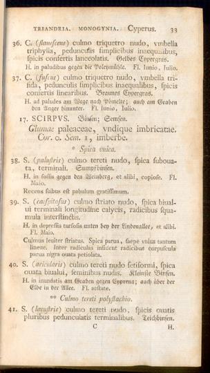 Pagina 