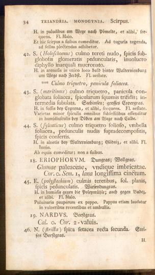 Pagina 