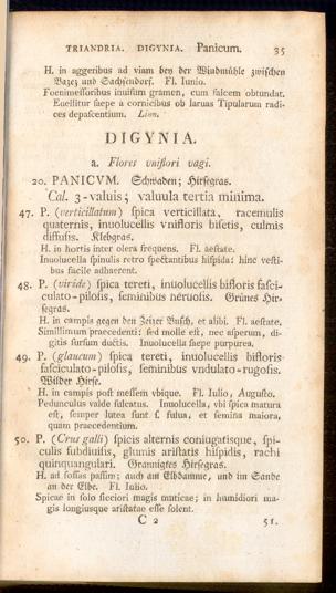 Pagina 