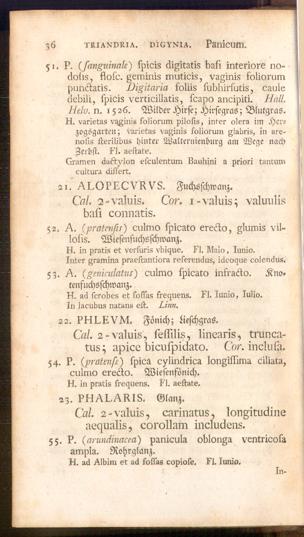Pagina 