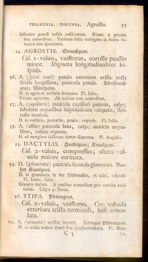 Pagina 