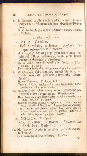 Pagina 