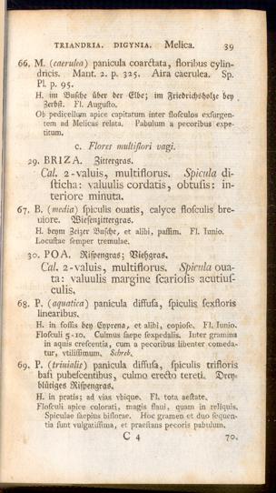 Pagina 