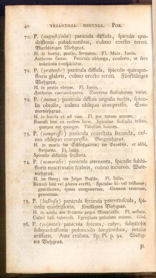 Pagina 