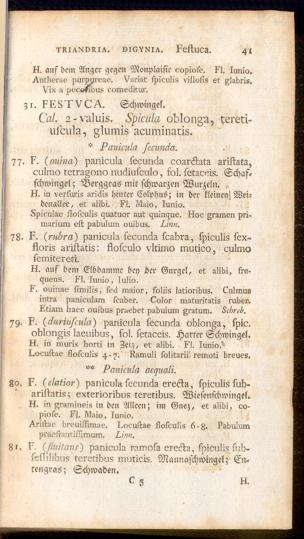 Pagina 