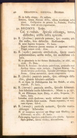 Pagina 