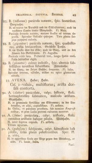 Pagina 