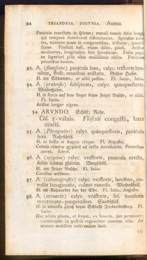 Pagina 