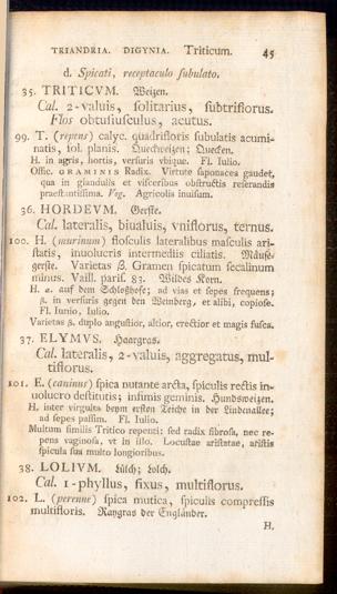 Pagina 
