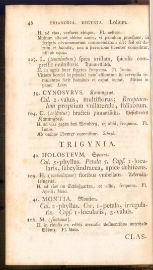 Pagina 