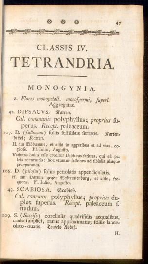 Pagina 
