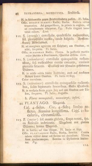Pagina 