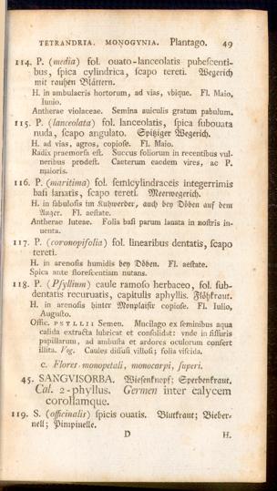 Pagina 