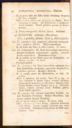 Pagina 