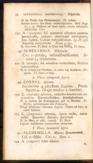 Pagina 