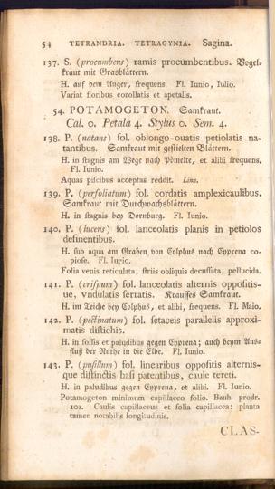 Pagina 