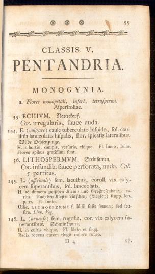 Pagina 