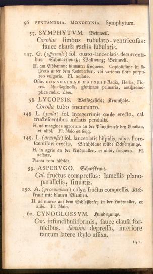Pagina 