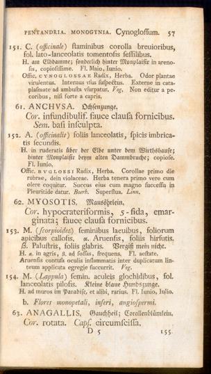Pagina 