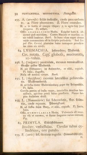 Pagina 